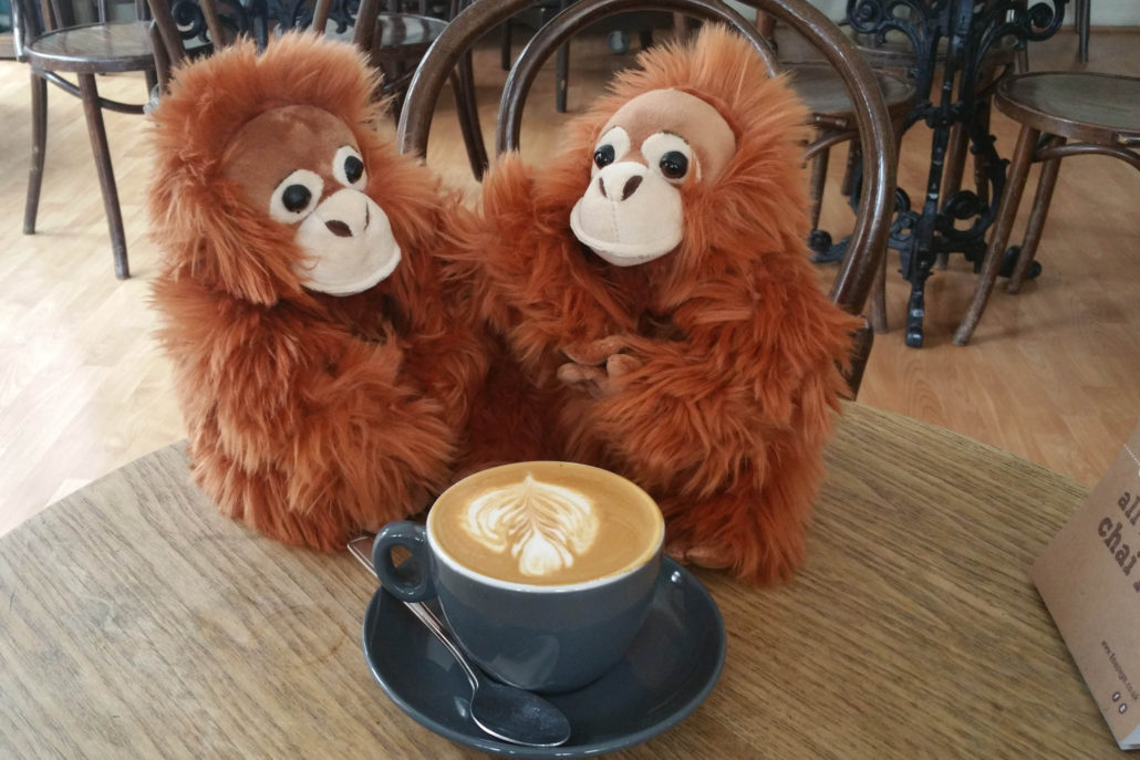 Forrest and Gumption sharing a farewell flat white Running for Rainforests Martin Holland